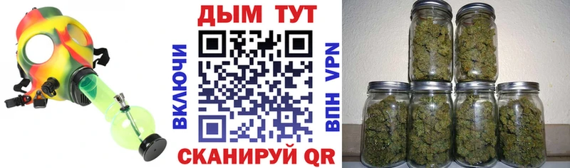 кракен маркетплейс  дарк нет формула  Шишки марихуана ГИДРОПОН  Элиста 